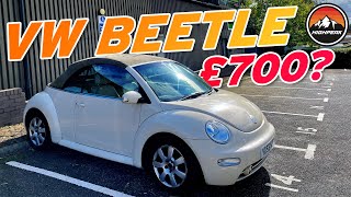 I BOUGHT A CHEAP VW BEETLE CONVERTIBLE [upl. by Nawram718]