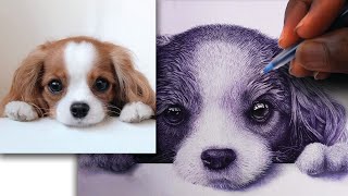 Realistic Dog Drawing With Pen TIME LAPSE [upl. by Standley]