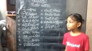 LEARN ABOUT JANTA PADALUTELUGU jessy vlogs [upl. by Afnin486]