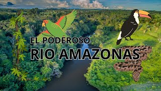 El Poderoso Río Amazonas Datos Selva y Conservación [upl. by Dillie]