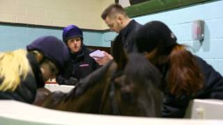 Equine A day in the life at Hartpury College [upl. by Naples457]