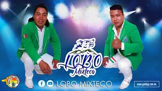 Lobo Mixteco  Homenaje a Mateo Reyes Mix [upl. by Avirt]