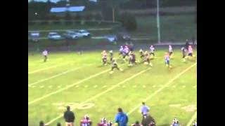 Laquon Treadwell CreteMonee High IL  Class of 2013  Junior Year Highlights [upl. by Narhem437]