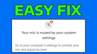 How To Fix Your Mic is Muted By Your System Settings in Google Meet [upl. by Eikkin]