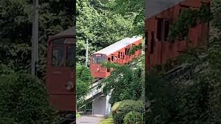 Heidelberg Upper Bergbahn shorts train germany funicular mountains heidelberg [upl. by Chernow]