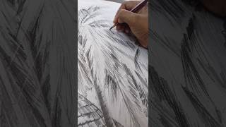 artvideo graphite graphitedrawing youtubeshorts art [upl. by Jordain]