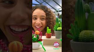 Create your own plant collection with new Mini Brands Create Garden minigarden zurutoys [upl. by Zetram]