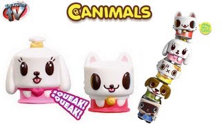 Canimals Squeaky Figures 5 Pack Review Vivid [upl. by Wain]