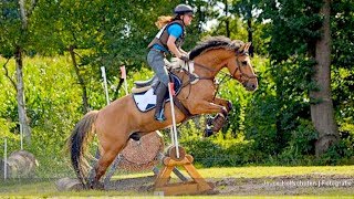 VLOG 93 Neckrope demo amp VAL tijdens de oefencross  felinehoi [upl. by Eelek807]