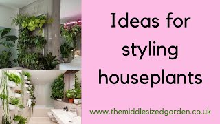 Ideas and tips for styling houseplants [upl. by Urina]