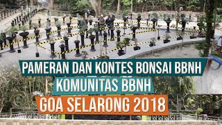 Pameran dan Kontes Bonsai BBNH di Goa Selarong Bantul Yogyakarta 2018 [upl. by Allx668]