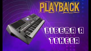 playback da música libera a tcheca  forrozao [upl. by Bywoods]