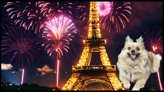 Firework Sounds For Dogs Desensitizing Your Dog to Fireworks Sounds [upl. by Guthry779]