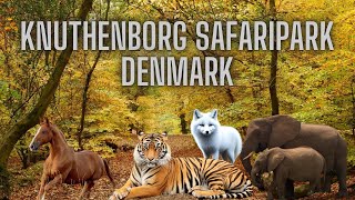 Knuthenborg Safaripark Denmark [upl. by Syhr]