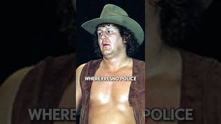 SHOCKING Bob Orton Arrest Story [upl. by Onailime]