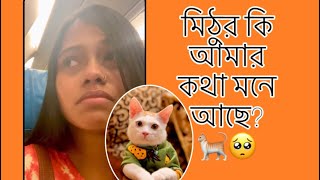 মিঠুর কি আমার কথা মনে আছে 🐈🥺  MimiMithu [upl. by Eilraep]