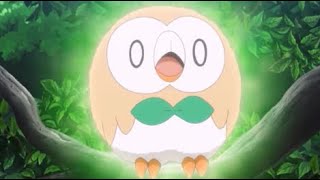 Rowlets Cute Moments 2 [upl. by Anilrats]