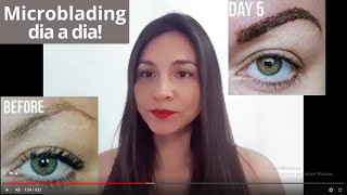 Curación en Micropigmentación amp Microblading de Cejas ⭐dia a dia [upl. by Fried49]