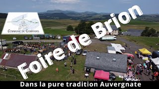 Foire traditionnelle aux bestiaux de Brion  Compains 63 dans la pure tradition Auvergnate [upl. by Irret]