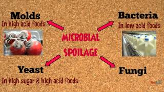 Food Spoilage Microorganisms [upl. by Frame]