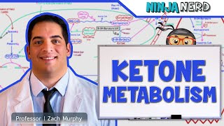 Metabolism  Ketone Metabolism [upl. by Akered214]