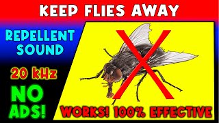 ANTI FLIES REPELLENT SOUND ⛔🦟 KEEP FLIES AWAY  ULTRASONIC SOUND [upl. by Frost]