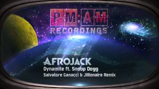 Afrojack  Dynamite ft Snoop Dogg Salvatore Ganacci  Jillionaire Remix [upl. by Lilac]