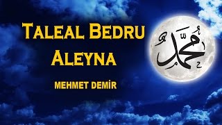 Taleal Bedru Aleyna 2017 Ay Doğdu Üzerimize Veda Tepelerinden Mehmet Demir [upl. by Trici954]