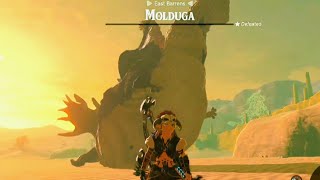 Legend Of Zelda Tears Of The Kingdom Molduga Gameplay [upl. by Berghoff]