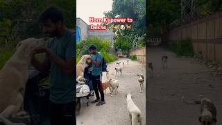 Horn Ki power toDekho 🎺🎺🐶🐕love [upl. by Dever]