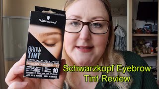 SCHWARZKOPF EYEBROW TINT amp TEST REVIEW [upl. by Aekan299]