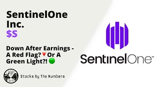 Quick Overview Of SentinelOne Stock S  This Cybersecurity Company Might Go To The Sky Over Time🚀 [upl. by Salohcin]