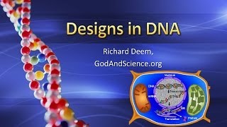 Designs in DNA [upl. by Lexis]