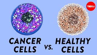 How do cancer cells behave differently from healthy ones  George Zaidan [upl. by Koblas]