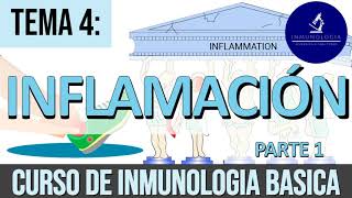 Inflamación Parte 1 Signos Cardinales Cambios Vasculares y Reclutamiento de Leucocitos [upl. by Foley]