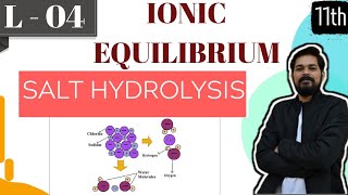 Ionic Equilibrium । Class 11 L4 I Salt hydrolysis [upl. by Blanch]