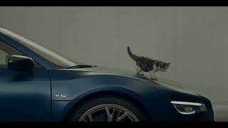 Audi Italia  quotUn milione di fan su Facebook Senza mai postare un gattinoquot [upl. by Perren]