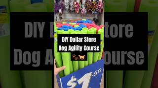 Watch Me Build a DIY Dog Agility Course from the Dollar Store [upl. by Kalmick]