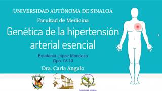 Genetica de la hipertension arterial esencial [upl. by Pompei796]