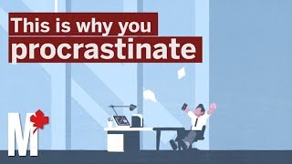 This is why you procrastinate [upl. by Elleynod982]