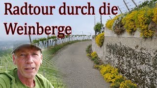 Radtour durch die Weinberge [upl. by Sykes]