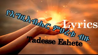 Tadesse Eshete የእግዚአብሔር ምህረቱ ብዙ lyrics mezmur old song [upl. by Ocirema341]