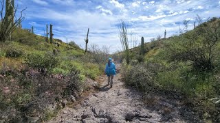 Needle Vista to Hackberry Springs Trail Part 1  Superstition Mountains [upl. by Anne940]