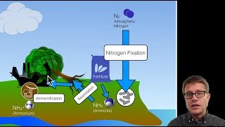 Biogeochemical Cycles [upl. by Jami217]