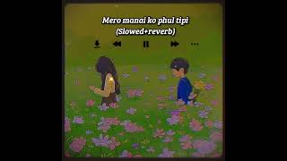 Mero manai ko phul tipi slowedreverb Nepali song [upl. by Katherina64]