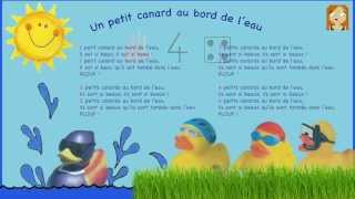 Un petit canard au bord de leau  Les petits minous [upl. by Enyahs]