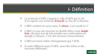 Les ARN [upl. by Bonnibelle94]