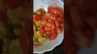 😥Diet food kaise banaen 😋🤤😬 mahi vlog with family  vadodara lovers 🙏 [upl. by Annayak]