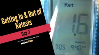 Day 3 How to get into ketosis the fastest way I know how [upl. by Ahse]