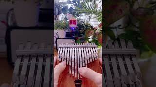 白月光  seeds kalimba 41key kalimbasongsmarimbas [upl. by Darius]